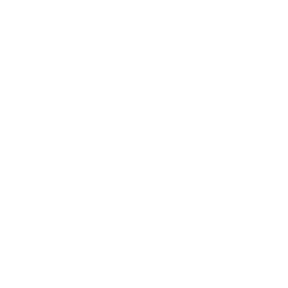 历史